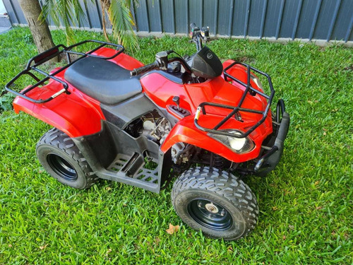 Arctic Cat 300 300 Parrillero