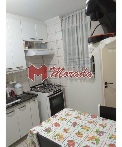Imagem 5 de 20 de Apartamento Venda Jardim Odete, 59m² - 18463