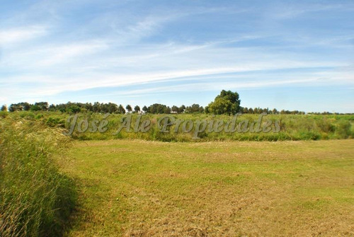 Chacra En Venta - Colonia Del Sacramento