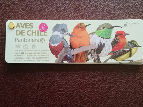 Aves/bosque/nubes/funga De Chile. Pack 4 Guias Pantoneras