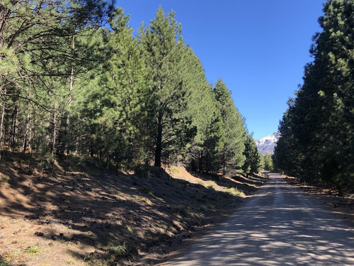 Imagen 5 de 13 de Venta 3 Lotes Linderos Chapelco Golf - San Martin De Los Andes