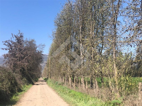 Imagen 2 de 27 de Parcela Agrícola En Venta En Paine