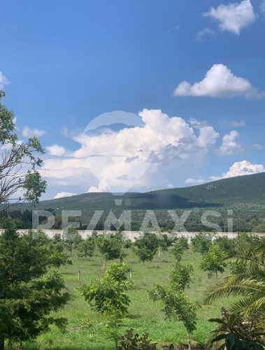 Rancho Venta Ajuchitlan Colón Querétaro Con Producción