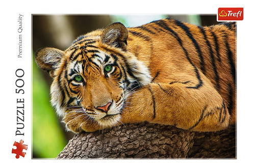 Rompecabezas Trefl 500 Piezas: Mirada De Tigre
