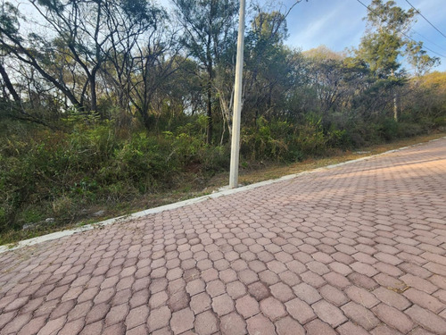 Venta Lote Gladiola 37 Con Vistas Panorámicas, Proyecto Incluído Y Todos Los Servicios Cerca De Las Amenidades De Fracc Rancho San Diego Ixtapan De La Sal Edomex