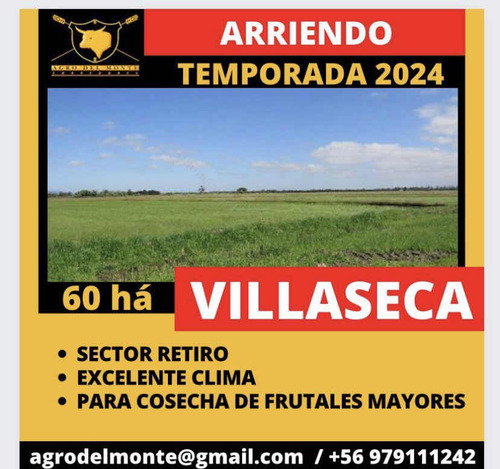 Arriendo 60ha, Villaseca, Sector Retiro - 7 Región
