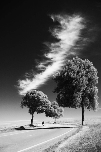 Cuadro 60x90cm Nieve Blanco Arboles Naturaleza Paisaje M5