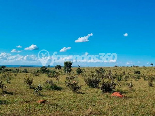 Imagem 8 de 11 de Rural Chacara Com 2 Quartos - 331-v