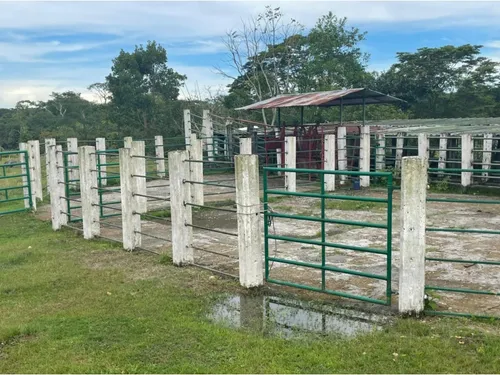 Vendo Gran Finca En Guamal Meta