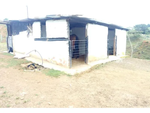 Venta Finca Restrepo Valle Del Cauca