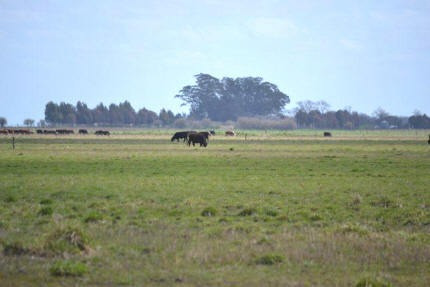 Sc441 - Campo Productivo En Maipú