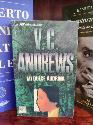 V. C. Andrews - Mi Dulce Audrina - Libro 