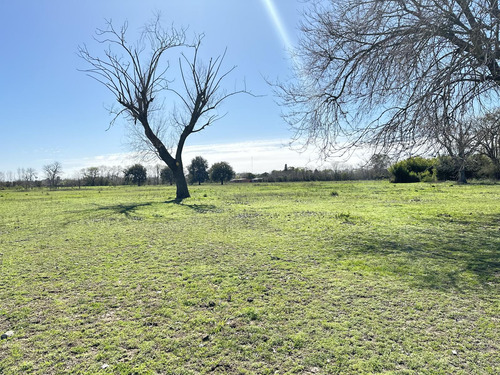 Venta Terreno En Lobos, Lotes De Casi 1ha