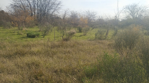 Imagen 10 de 11 de Campo Agroecológico 30 Has En Venta En El Peligro, Calle 420