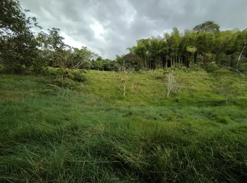 Hermoso Lote En Filandia Quindio Con Escritura