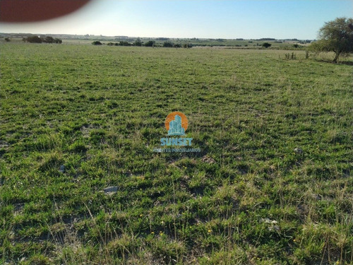 Florida Estancia De 204 Hectareas Con Casa De 4 Dormitorios - Ref: 288