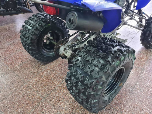 Imagen 6 de 15 de Yamaha Raptor 250 2009 - Financiacion - Permutas!!!