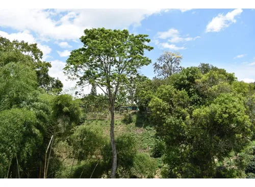 Se Vende Lote En Quimbaya Quindío
