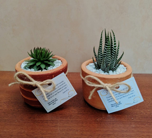 Imagen 6 de 10 de Recuerdos Plantas, Cactus Y Suculentas, Souvenirs, Barro