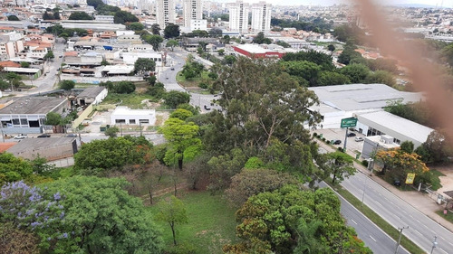 Imagem 4 de 16 de Apartamento - Ap00523 - 69336518