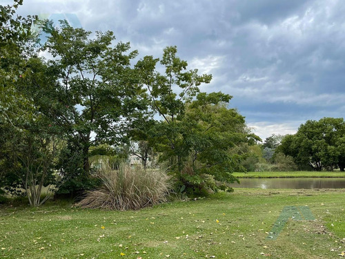 Imagen 2 de 10 de Terreno - Casuarinas Del Pilar