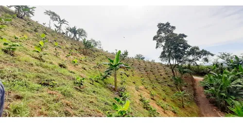 Venta Finca - Vereda Coco Hondo - Balboa
