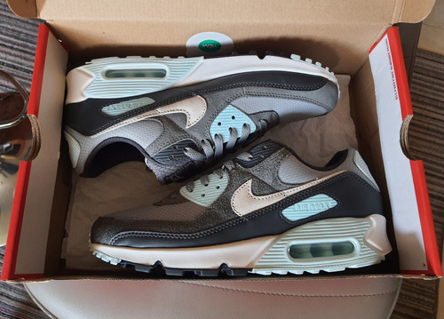 Tenis Nike Air Max 90 Blue Sky / Jordan Lebron Dunk High Sb (Usado)
