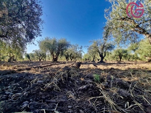 Imagen 14 de 16 de Greenwood Vende Finca Con Potencial