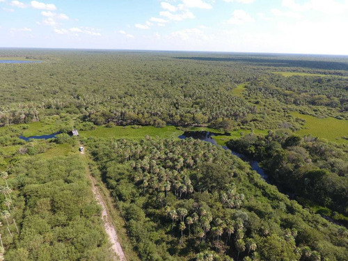 Imagen 2 de 8 de Campo En Formosa Argentina Agricola Ganadero Desmonte