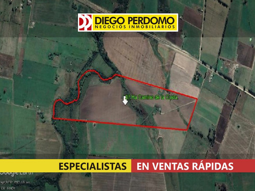 Campo De 37 Has En Venta, Colonia Italia