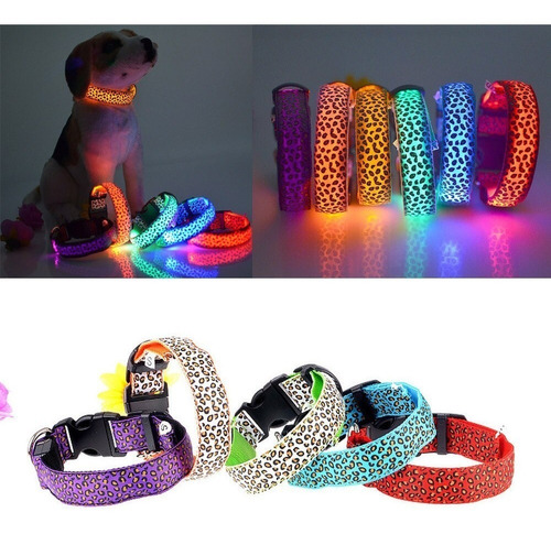 Collar Led Mascota Perro Gato Paseo Seguridad Talle S   S126