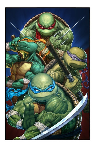 Cuadro De Las Tortugas Ninja Adolescentes Mutantes # 2 Ch