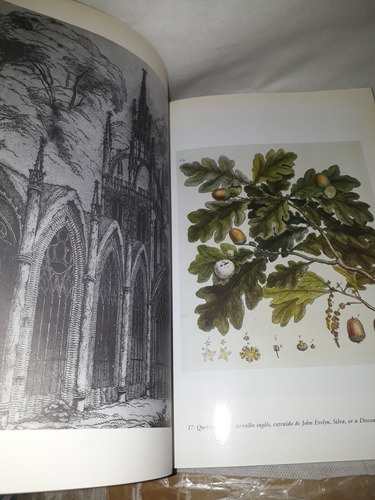 Livro - Paisagem E Memória ( Simon Schama ) Raríssimo - Autografado ( Seminovo ).
