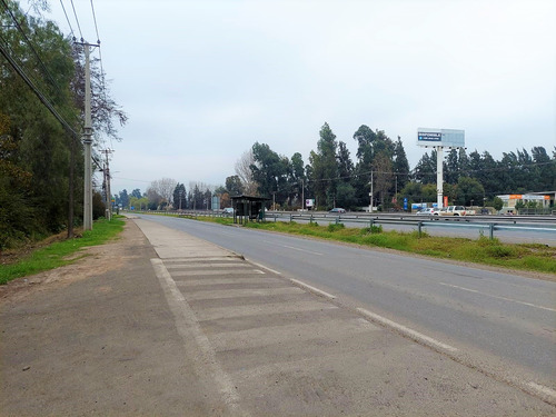 Gran Terreno Con Galpones Y Casa En Chicureo