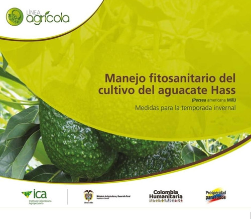 Manejo Fitosanitario Del Cultivo Del Aguacate Hass