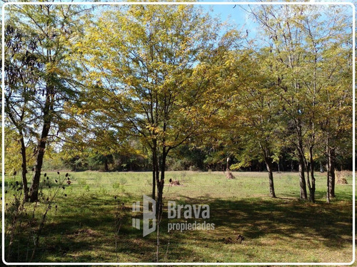 Imagen 9 de 9 de Excelente Lote De 8000 Mts2