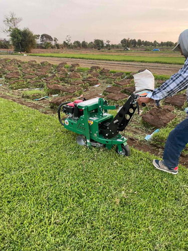 Imagen 14 de 19 de Sod Cutter Saca Champas Tepes Champeadora Cosechadora Grass