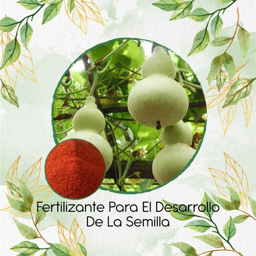 Fertilizante Para El Desarrollo De Porongo