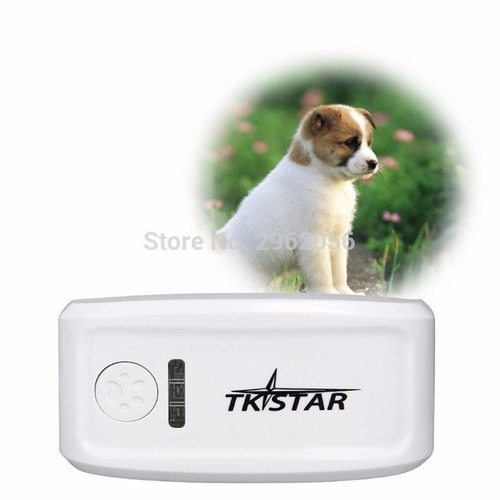 Coleira Gps Rastreador Localizador Cachorro Gato, Envio Imed