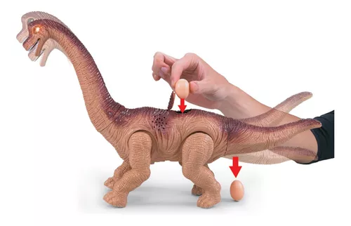 Dinossauro interactivo, Bruin infantil sensações bebé