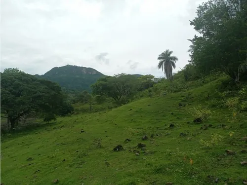Vendo Lotes En La Pintada Con Vista A Farallones Desde 2.703 M²