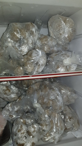 Imagen 3 de 3 de Albondigas De Pescado