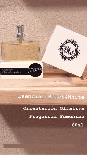 40 Envases Violeta Estuche 55cc Perfume Fino Engrimpadora