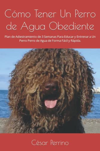 Como Tener Un Perro De Agua Obediente: Plan De Adiestramient