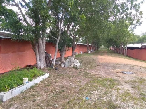 Imagen 28 de 30 de Jose Lopez Ofrece Finca ( Granja Avícola / Agrícola ) En Venta Vía A Duaca Caserio Guayabal Cordero Lara, Venezuela ,j G L Rent - A - House Telf. 0414-5533925 Cod # 22-16836 $ 15000