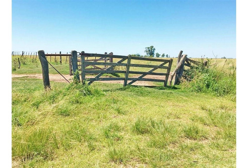 Imagen 5 de 15 de Campo En Quemu Quemu La Pampa