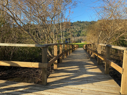Parcela De 5000 M2 Orilla Rio Sector Quita Calzón, Valdivia