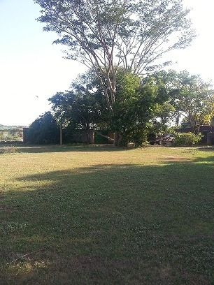 Imagen 2 de 12 de Venta De Finca De Caballos En Los Valles Del Tuy