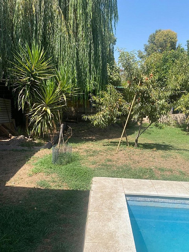 El Panul / Maria Angelica