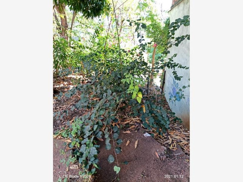 Imagen 5 de 6 de Terreno Comercial En Venta La Laja